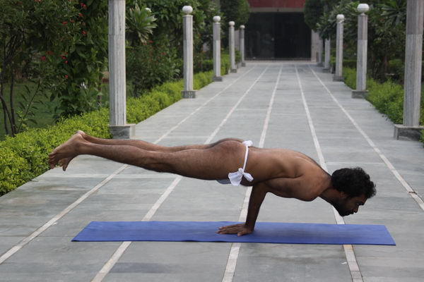 Mayurasana – Posture du Paon